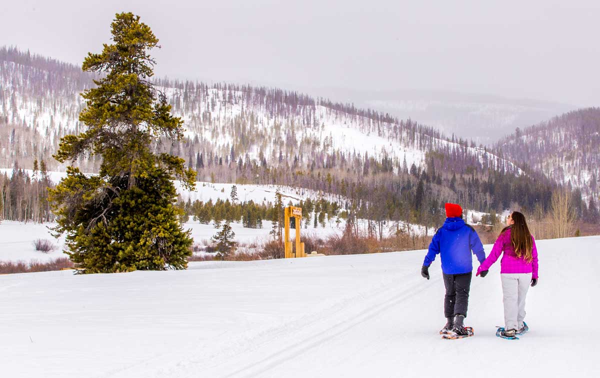 Man and woman holding hands while snowshoeing